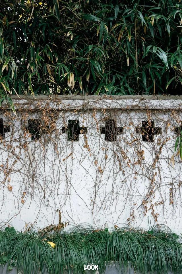 冬日打开指南！去愚园路静安段逛街→