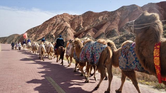 重走古丝路，驼铃响彻三千公里