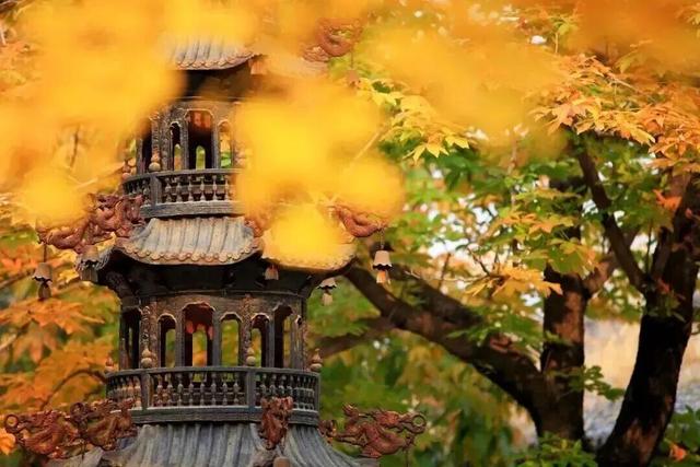 人少景美！北京这些古刹红叶正在最佳观赏期！