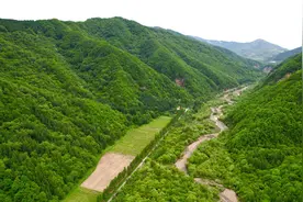 一线调查 | 品质升级 消费拓展 农家乐的破局之道图片