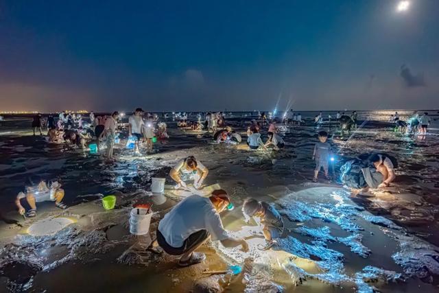 日照精彩文旅活动早知道（8月11日-17日）
