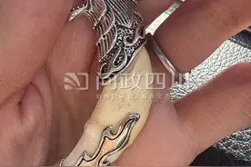 游客称购两颗狼牙实为狗牙，律师：买卖真狼牙涉违法，卖假狼牙涉欺诈图片