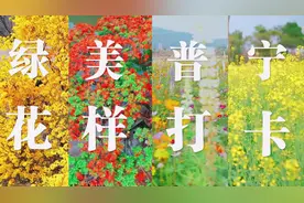 视频｜绿美普宁花样打卡图片