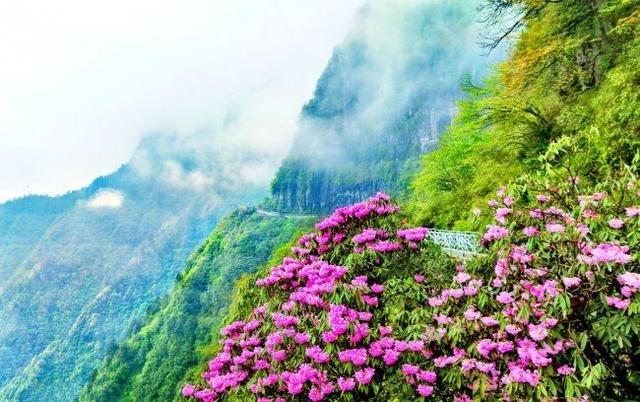 瓦屋山全山徒步挑战赛启幕，“绝壁飞瀑线”免费开放