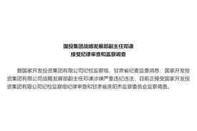 涉嫌严重违纪违法！国投集团战略发展部副主任邓谦接受审查调查图片