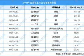 2023年青海省上市公司市值排行榜图片