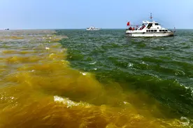 新时代中国调研行·黄河篇丨绿映“幸福河” 共唱“幸福歌”——我国着力构建沿黄生态廊道图片