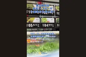 菜价“狂飙”！到底啥原因？何时降下来？图片