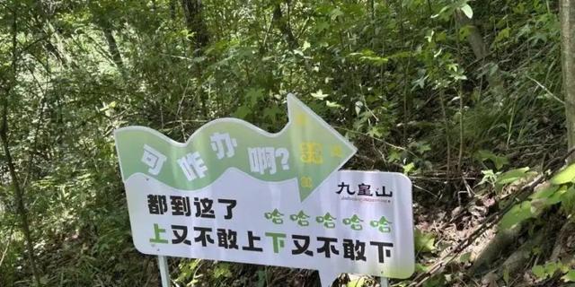 景区“损人式加油”爆火！专治各种爬不动？