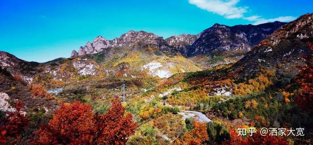 如何描述“北京的秋”？这是一期有温度的推送……