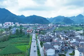 乡游黔中 · 桐梓县 九坝镇丨三月花事，是唤醒春日的多巴胺图片