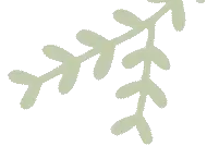 安全先行！请收下这份大型游乐设施安全乘坐小贴士图片