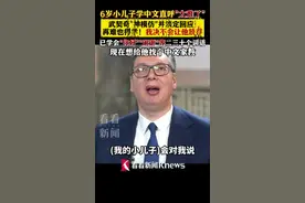 6岁儿子学中文直呼“太难了” 武契奇：再难也得学图片