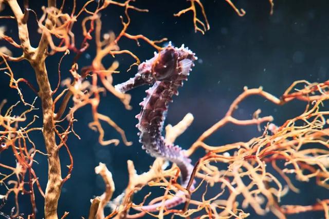 舟山这里也太好逛了，果断安排！接下来还有……