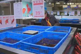 价格大降！小龙虾上市！图片