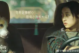 张子枫新片《我会好好的》定档3月22日，戏里戏外演绎“人宠双向治愈”图片