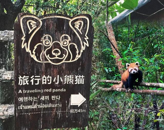天缘漫记·云巅之上，云南软卧专列十二日游等你来！