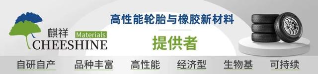多位院士专家齐聚玲珑，共探绿色轮胎发展新路径