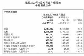 泡泡玛特上半年营收28亿增19%，首个主题乐园9月开业图片