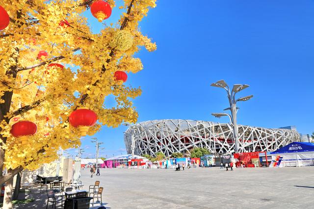 北京:银杏金黄秋意浓