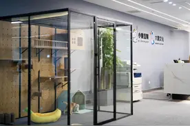 总投资1亿元！小象大鹅MCN&直播新媒体总部项目在合肥高新区正式运营图片