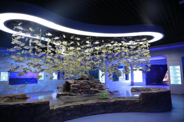 赴新岁之约，威海文旅“跨年大餐”来了！