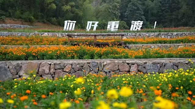 栾川这条最美自驾线路，必打卡！
