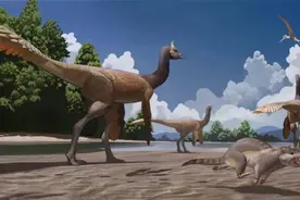 肇庆又发现恐龙足迹！图片