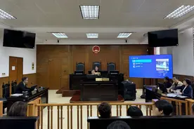 女子称烈性犬扑向自己怀中比熊撕咬致死还咬伤人，起诉邻居索赔18万元图片