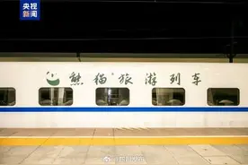 深圳⇋成都，“熊猫旅游列车”出发！图片