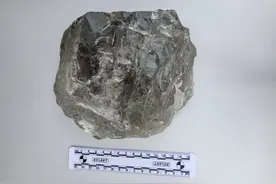 女子感情不和想离婚，求“神婆”转运被骗超百万元图片