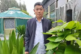 乡土乡恋 | 小村庄的孝文化图片