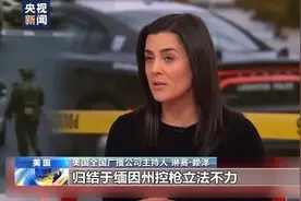 美国缅因州控枪立法屡遭挫折图片