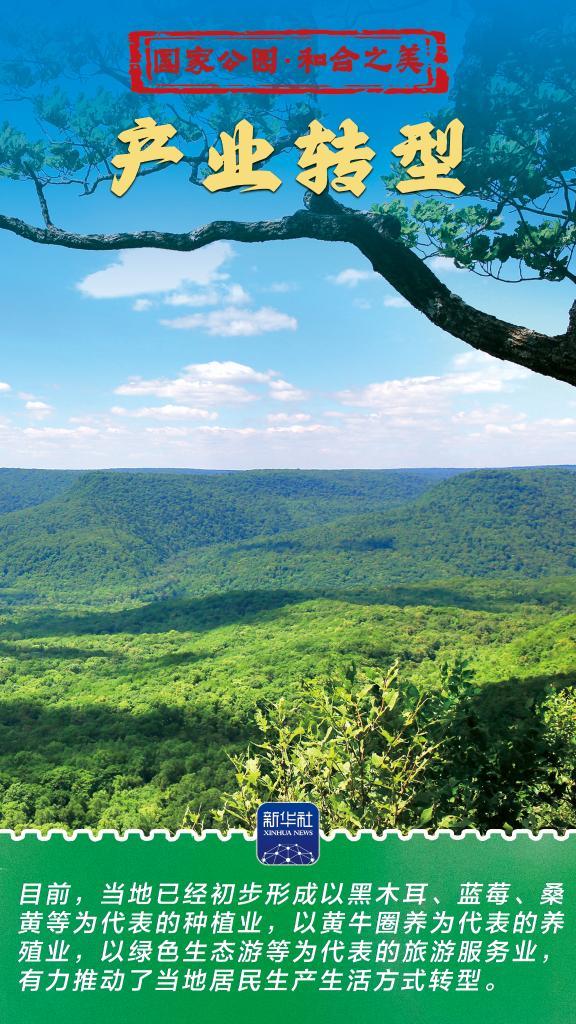 和合之美丨东北虎豹国家公园：猛兽家园野性王国