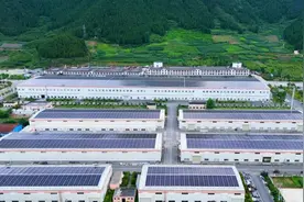 2025出海续航！贵州抹茶再次大规模出口日本图片