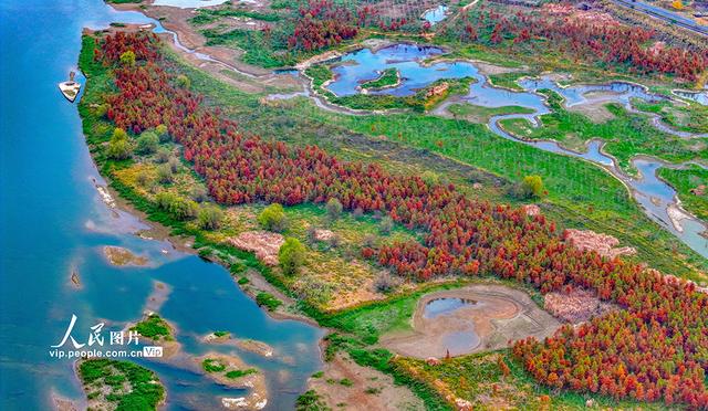 浙江淳安：武强溪生态湿地五彩斑斓