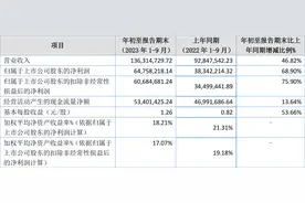武汉蓝电：2023年前三季度净利润6475.82万元 同比增长68.90%图片