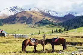 张晴霞‖《我的阿勒泰》随想图片