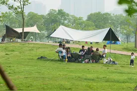 市民携家带口“安营扎寨”，享受闲适时光图片