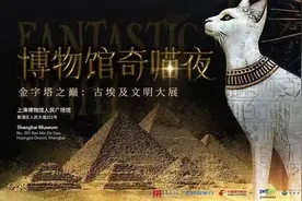 带猫咪看人文大展、带狗狗喝“爪布奇诺”……在上海，“宠物友好”不只是口号图片