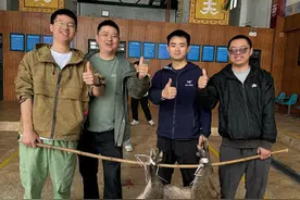 四川一景区逮野猪可免费带走，游客：逮到40多斤的猪抬去农家乐，挣回了门票图片