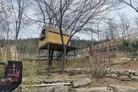 青岛市崂山区：双线出击立体治违建图片