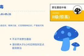 湖南发布5月野生蘑菇中毒指数：Ⅱ级（较高）图片