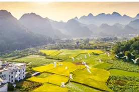 最低工资迎来“普调”，9月1日起执行｜早安广东图片