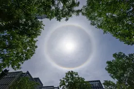 城事·战高温 | 太阳自带光环！今天你拍到“日晕”了吗？图片