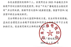 中央广播电视总台2025年春节联欢晚会版权声明图片