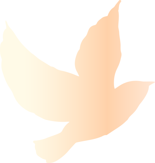 打开这封邀请函，一起“穿越”回90年前