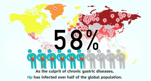 一起照亮更广阔的世界丨北京大学代表队参加国际基因工程机器大赛2025年参赛总结