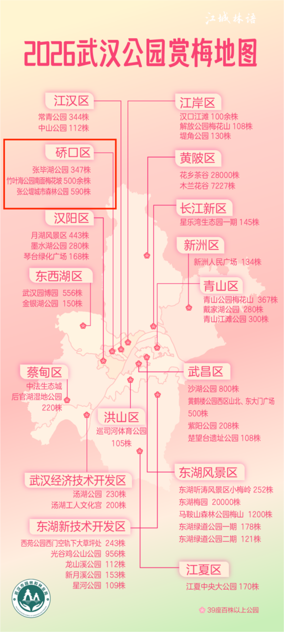 人气王，“梅花坡”热力持续增长！