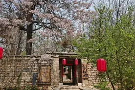 肥城五埠岭：梧桐深处是乡愁图片